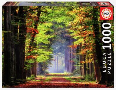 PUZZLE 1000 pzas. PASEO OTOÑAL