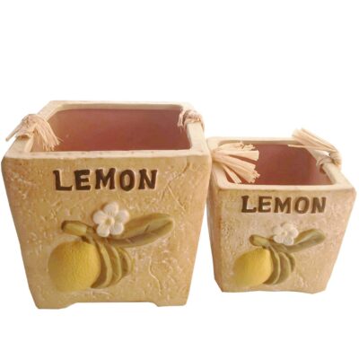 JGO. 2 MACETAS 16CM Y 10CM CUADRADAS DEC. LEMON