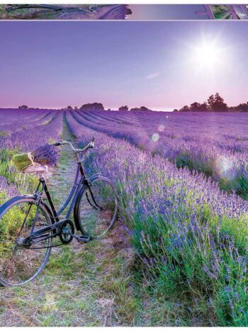 Puzzle 1000 pzas. BICICLETA EN CAMPO DE LAVANDA