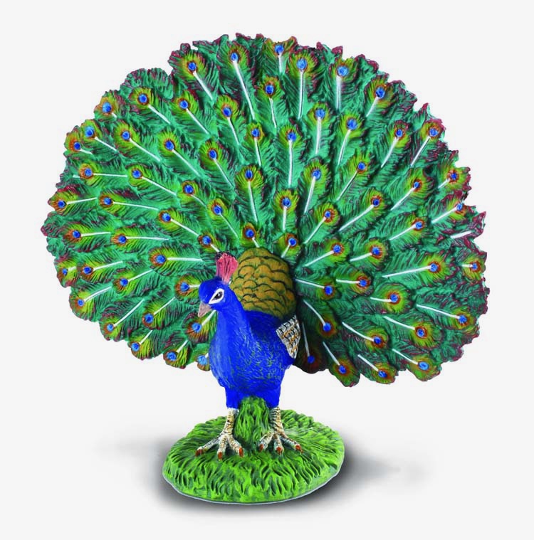 Collecta 88209, PAVO REAL -L