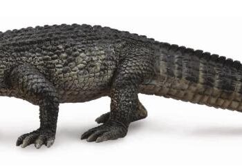 Collecta 88609, CAIMAN AMERICANO -L