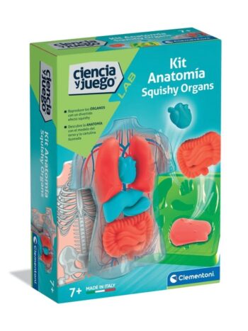 Kit Anatomía Squishy Organs
