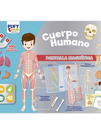 PANTALLA MAGNETICA - EL CUERPO HUMANO